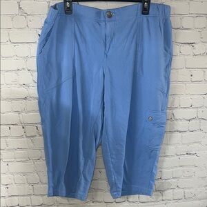 18/20 Cargo Capri by The Avenue.  The fabric is similar to sweat shirt material